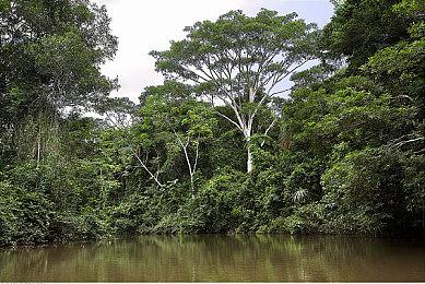 科隆：《战锤40K：暗潮》科隆开幕夜全新预告公布